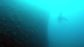 Wreck of Genepesca