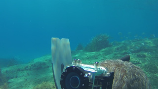 Freediving apnea at Capo Carbonara Sardinia
