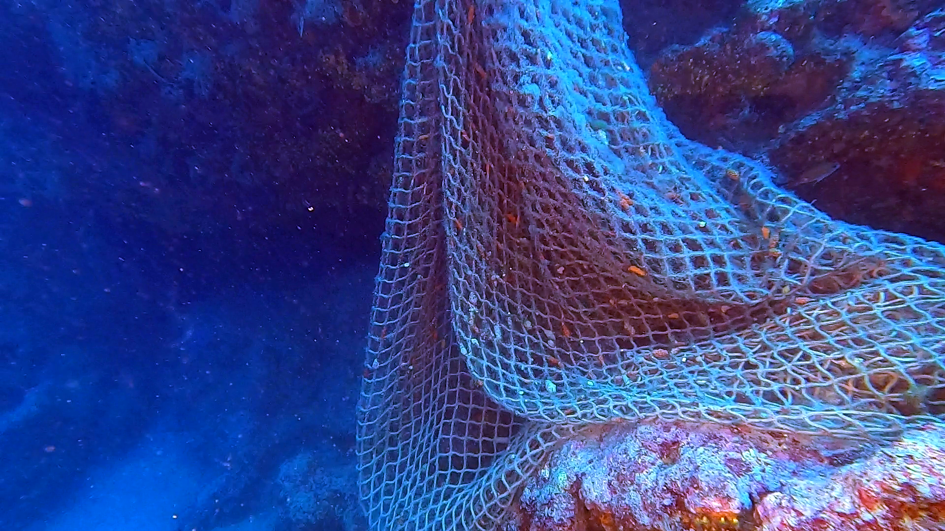 SOS Mediterraneo e Oceani - SOS Mediterranean sea and Oceans - Rete a strascico afferrata - grabbed Trawl net - intotheblue.it