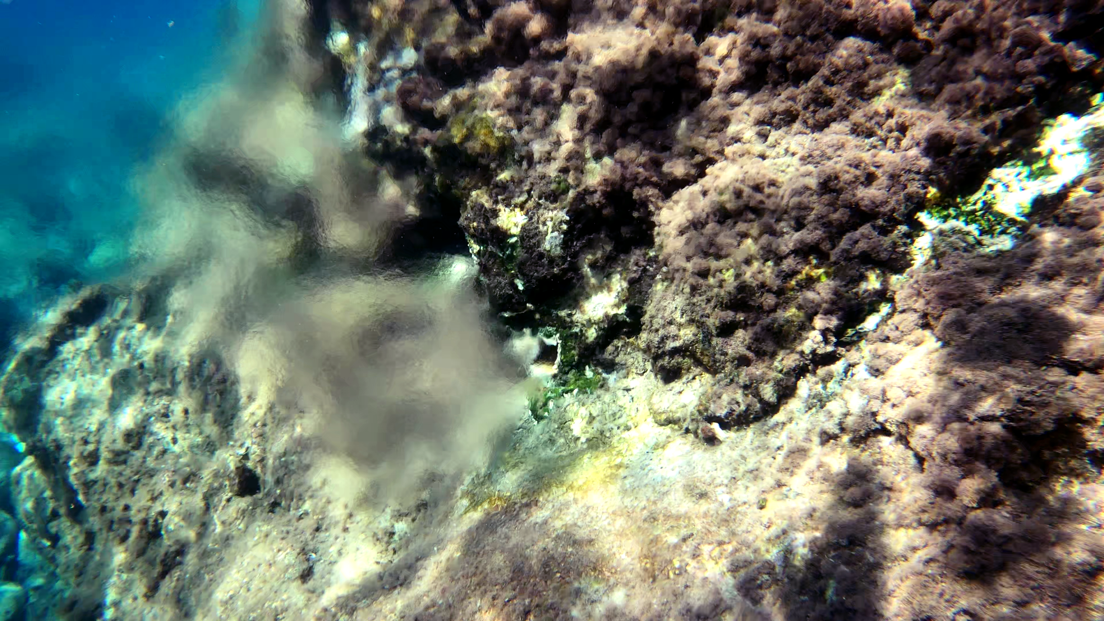Sorgente vulcanica sottomarina - Underwater volcanic spring - intotheblue.it