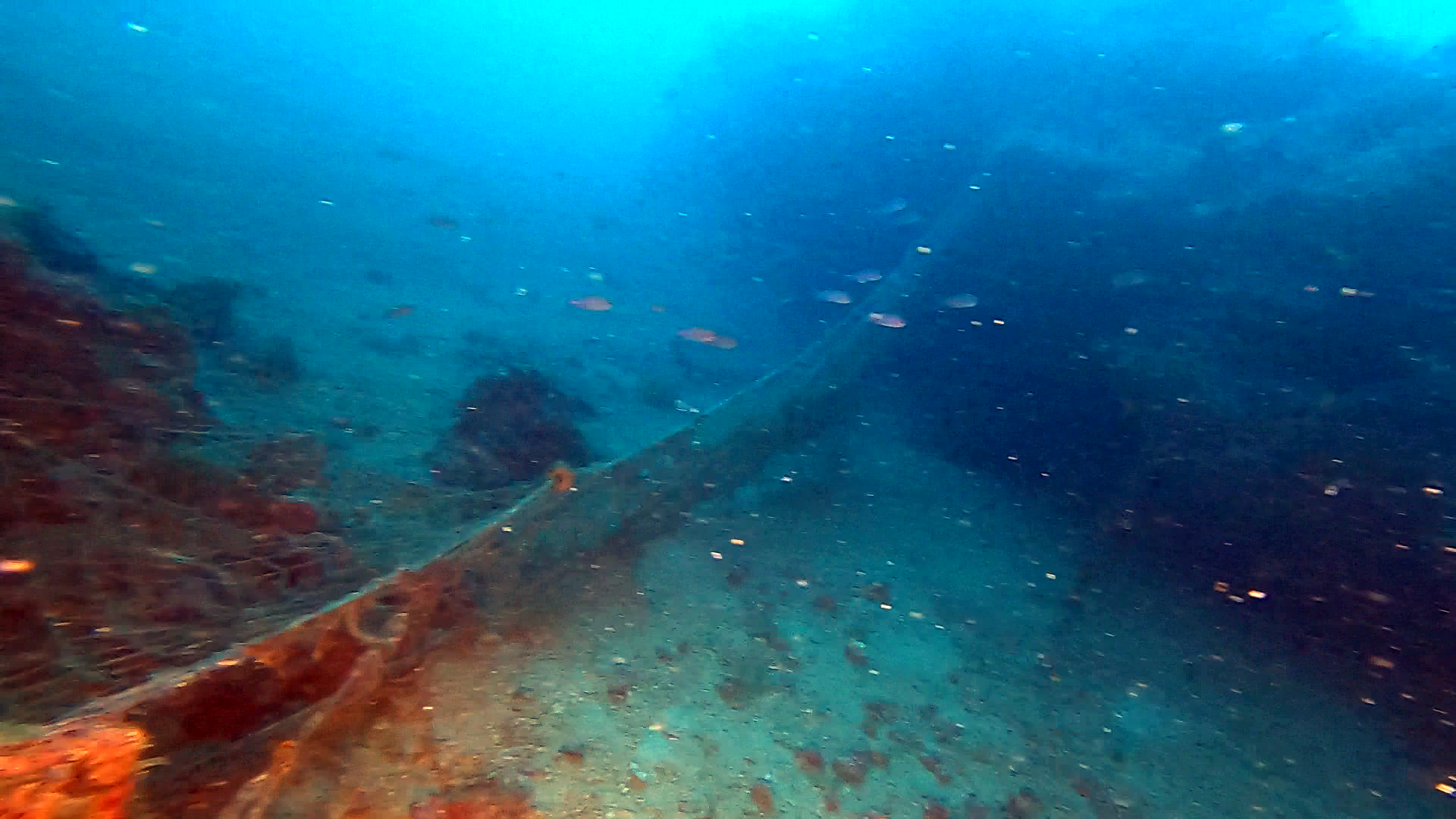 Rete da posta persa - Fishing net abandoned - intotheblue.it