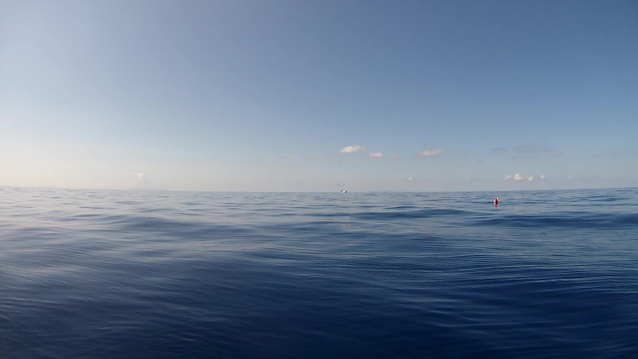 Effects of trawling - Effetti della pesca a strascico - intotheblue.it