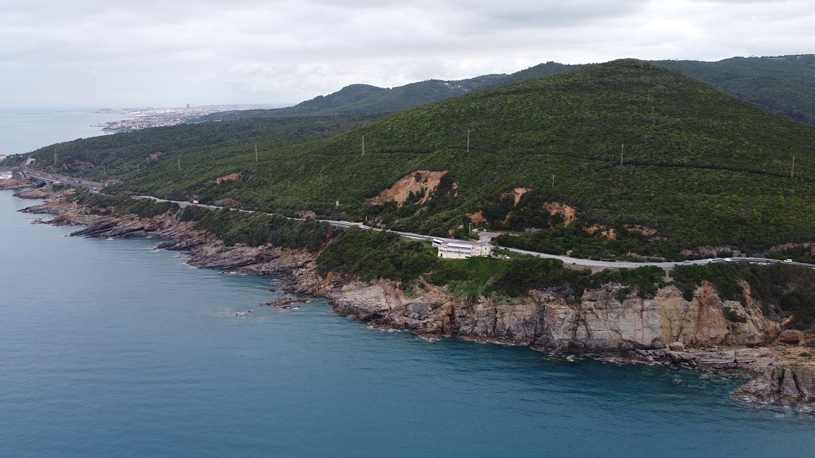 Mediterranean coral reef of Calafuria