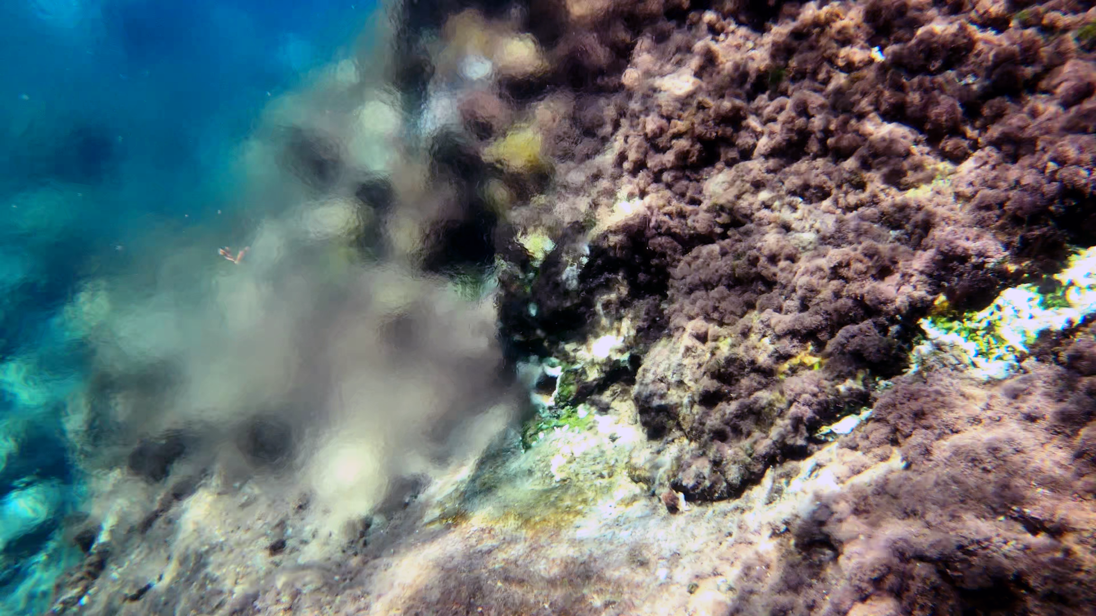 Volcanic spring - Sorgente vulcanica sottomarina - intotheblue.it