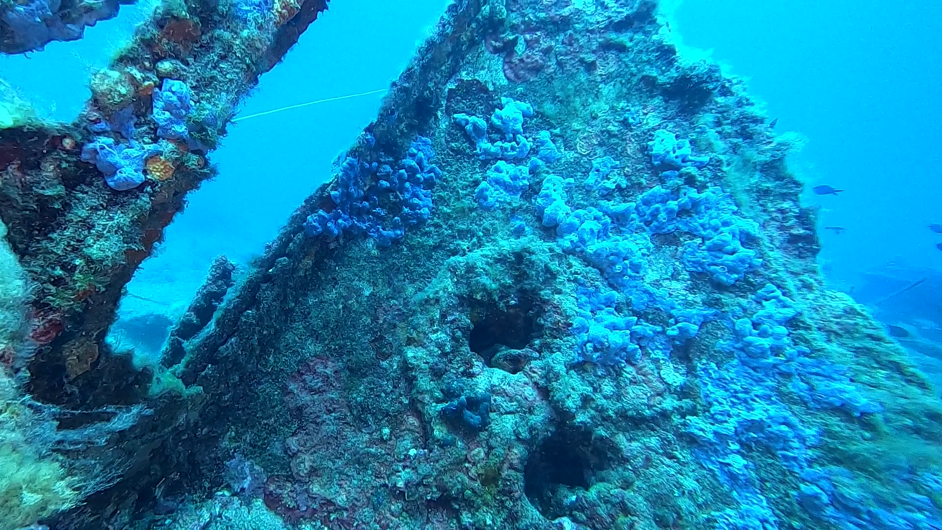 Diving on Carmelo Noli' s wreck